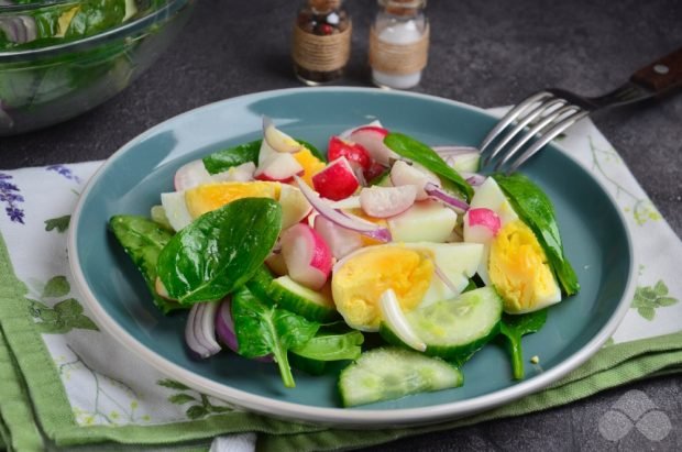 Egg salad, spinach and radish Egg salad, spinach and radish