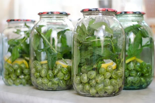 Mohito's gooseberry compote for the winter Mohito's gooseberry compote for the winter