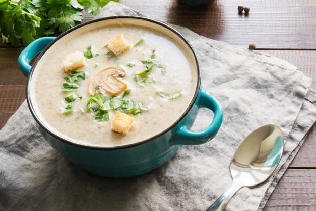 Mushroom puree soup with cilantro