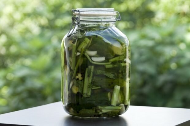 Pickled celery with cucumbers and herbs Pickled celery with cucumbers and herbs
