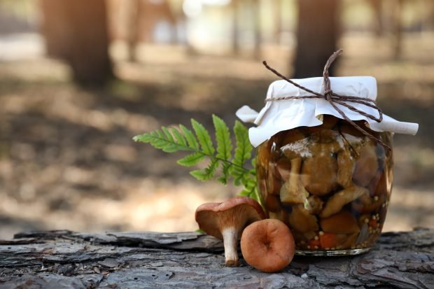 Pickled mushrooms Ginger hotly for the winter Pickled mushrooms Ginger hotly for the winter