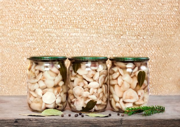 Pickled signals for the winter with vinegar Pickled signals for the winter with vinegar