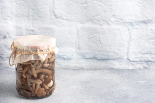 Salty honey mushrooms for the winter Salty honey mushrooms for the winter